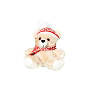 santa Teddy Bear