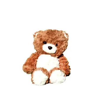 Brown Teddy Bear